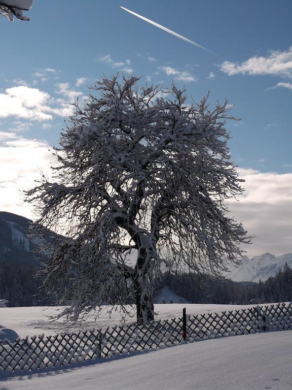 Вілла Anno Tyrol Бібервір Екстер'єр фото